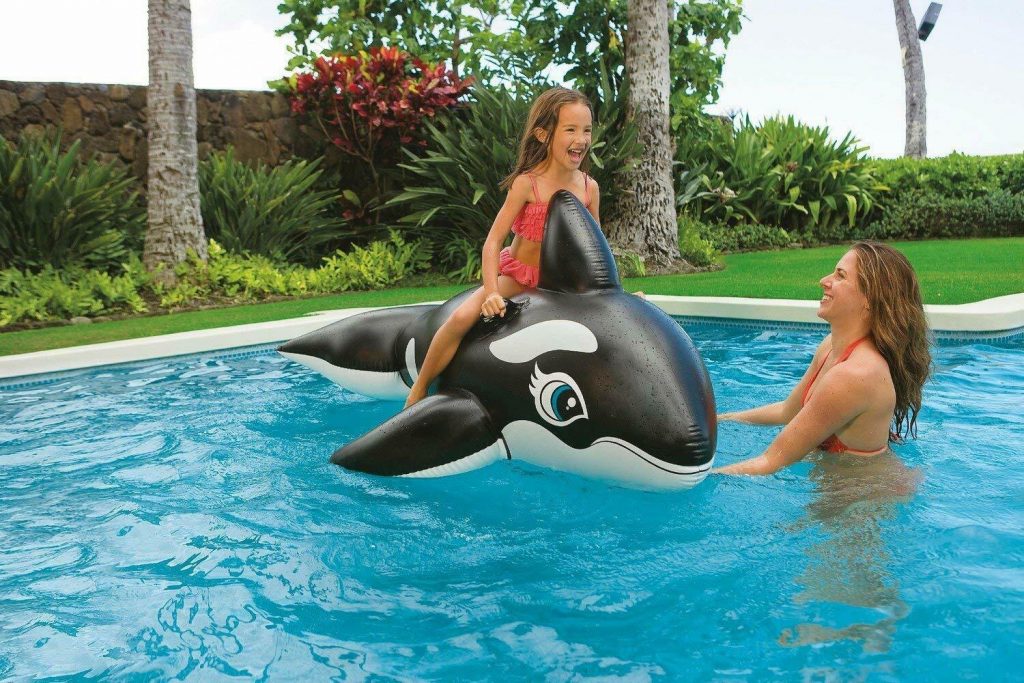 Wanderlust Collective Inflatable Ride On Killer Whale Float Crazy