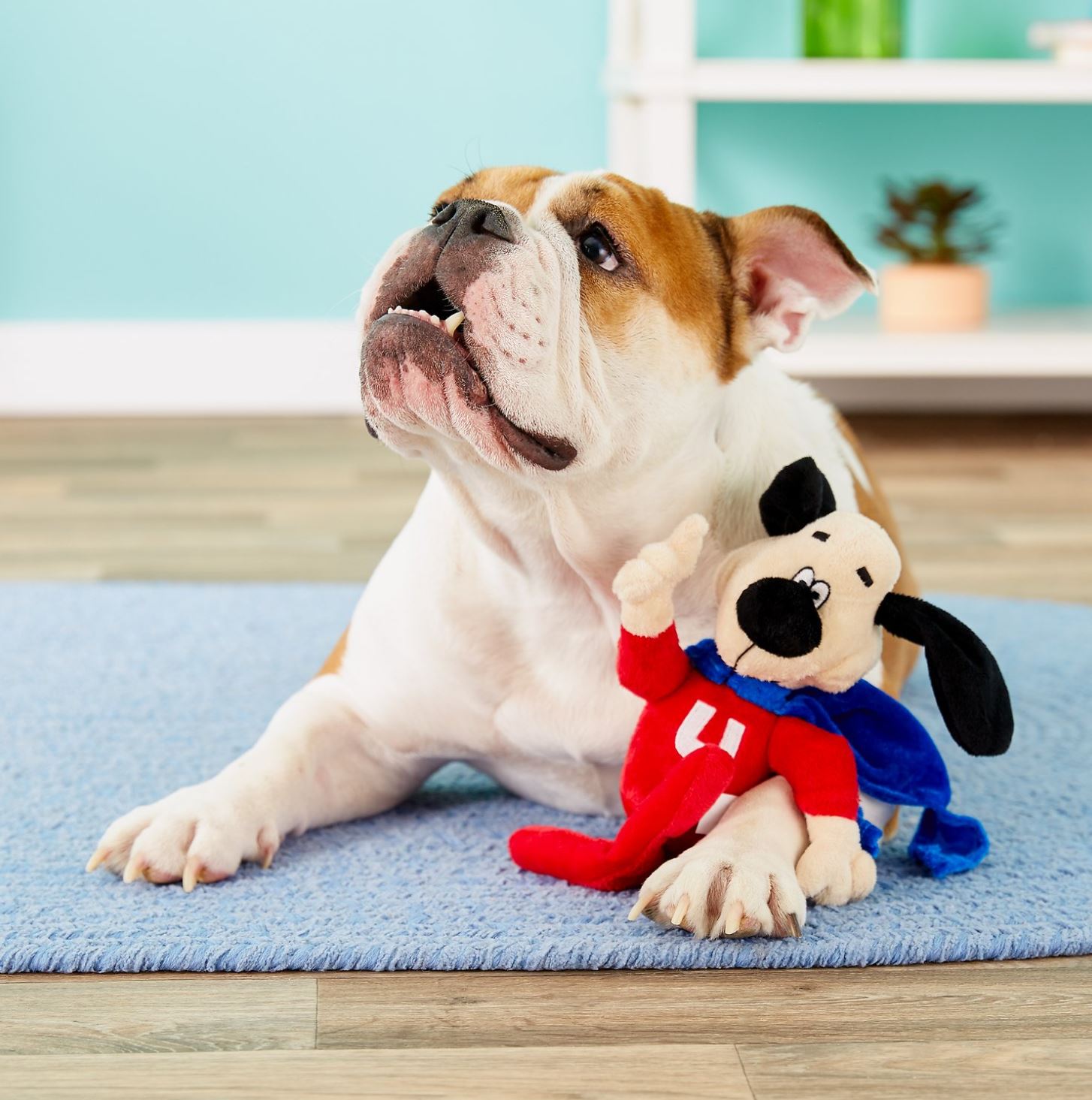 underdog dog toy