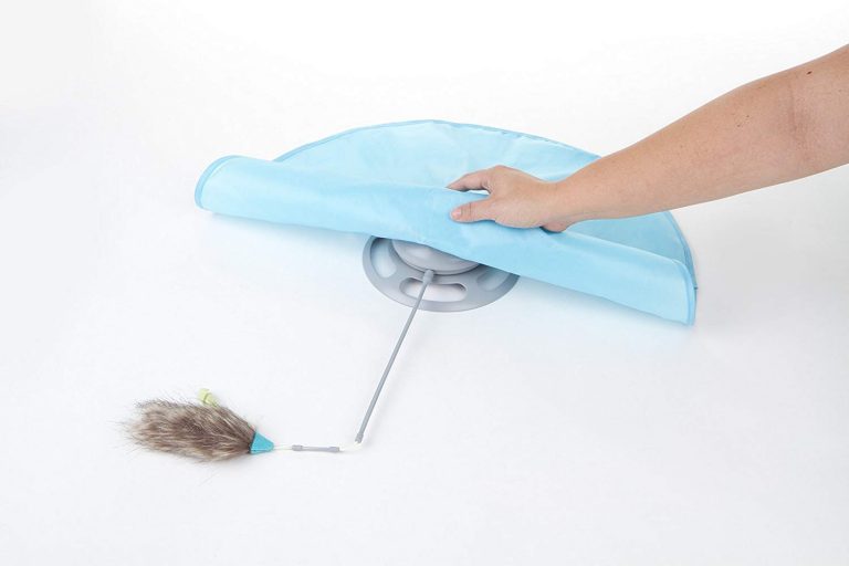 smartykat electronic motion toy hot pursuit